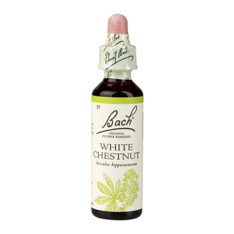 White Chestnut 20ml