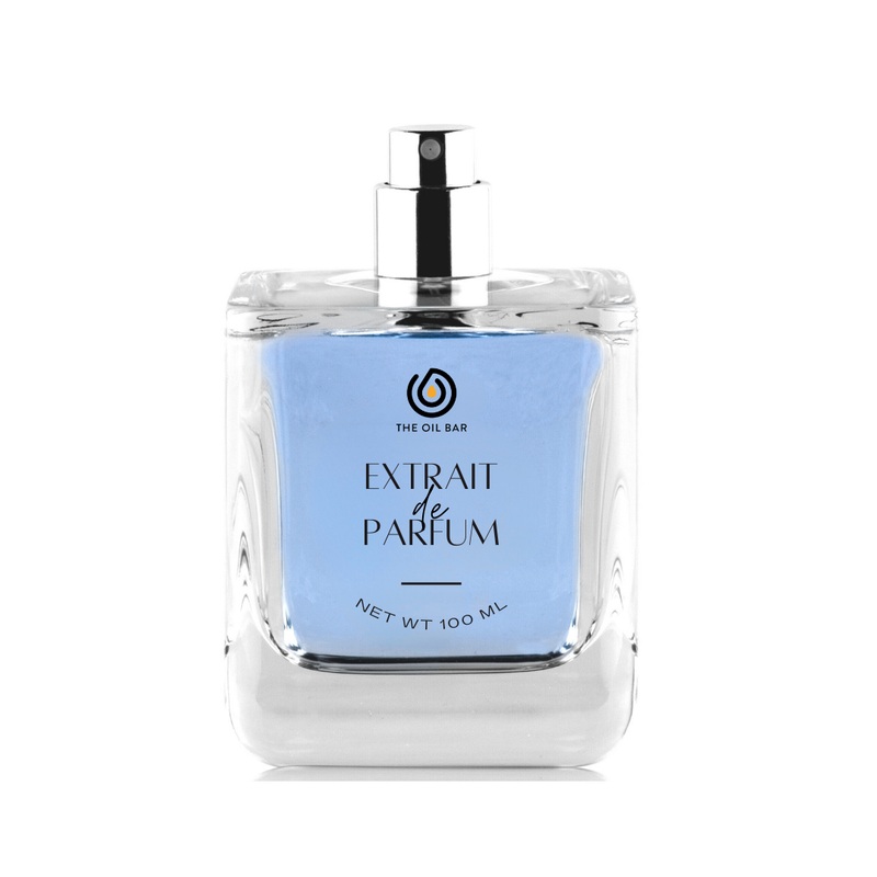 Yves Saint Laurent L’Homme Blue Type M Extrait de Parfum 3.3oz 100 ML